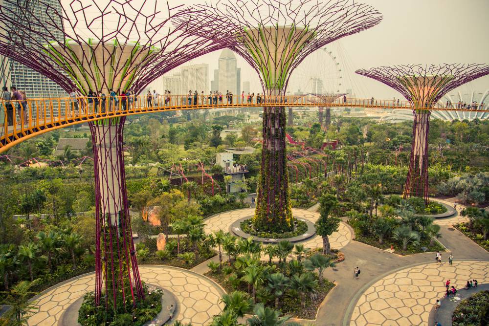 SUPERTREE GROVE in Gardens by the Bay